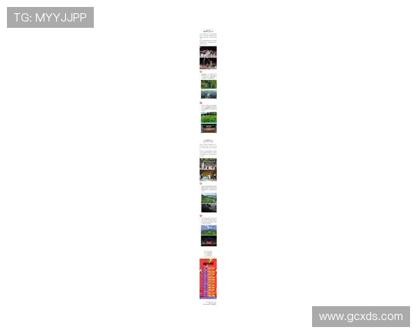 冠军赛特别报道:杭州篮球队的突破历程 冠军赛特别报道:杭州篮球队的突破历程