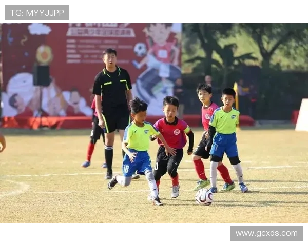 关于收集足球明星个人资料的通知与说明请大家积极参与 关于收集足球明星个人资料的通知与说明请大家积极参与