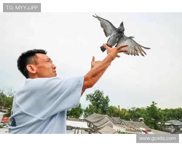 北京乒乓球队转型之路揭秘:从传统强队到现代化竞技新标杆 北京乒乓球队转型之路揭秘:从传统强队到现代化竞技新标杆