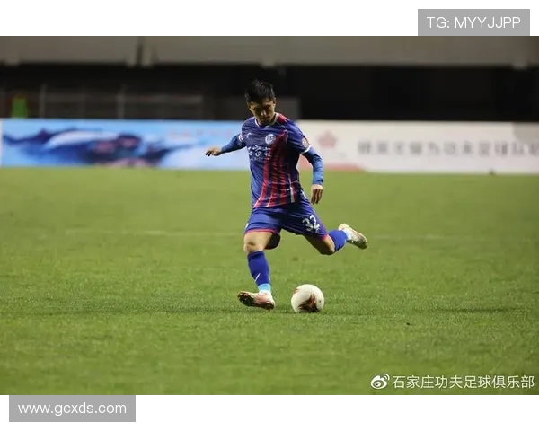 樊姓足球明星的崛起与成就解析以及对中国足球的影响与贡献 樊姓足球明星的崛起与成就解析以及对中国足球的影响与贡献