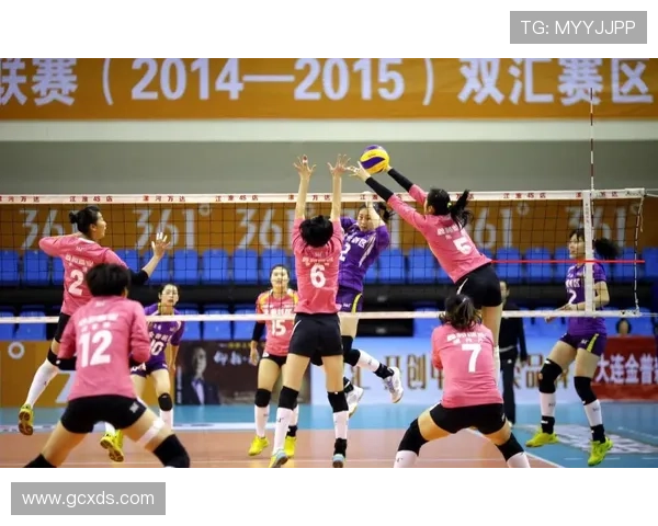 武汉排球队的奋斗与荣耀:一部排球精神的真实纪实之旅 武汉排球队的奋斗与荣耀:一部排球精神的真实纪实之旅