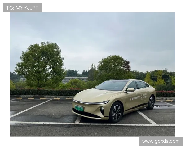 比亚迪汉与巴西足球明星携手共创绿色出行新篇章