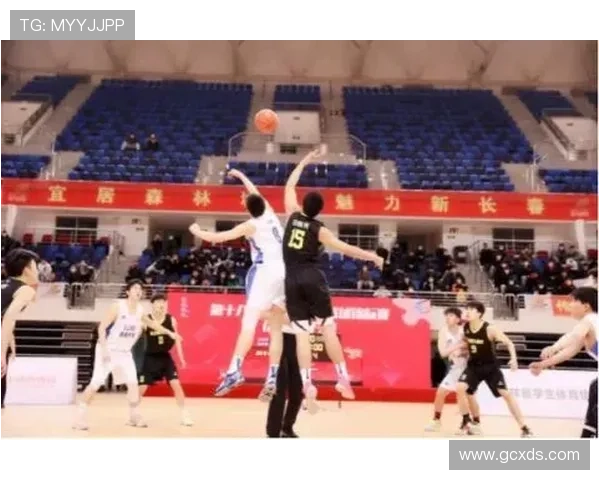 全国锦标赛回顾：上海篮球队意识提升与战术执行的深度分析